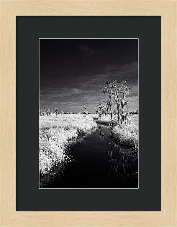 Everglades Dawn Tranquility