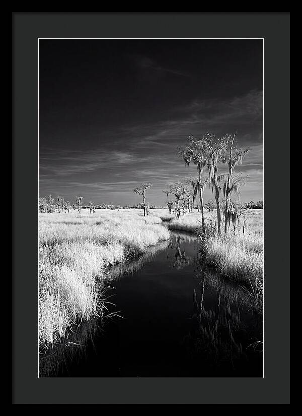 Everglades Dawn Tranquility