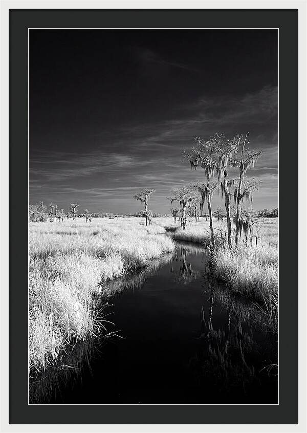 Everglades Dawn Tranquility