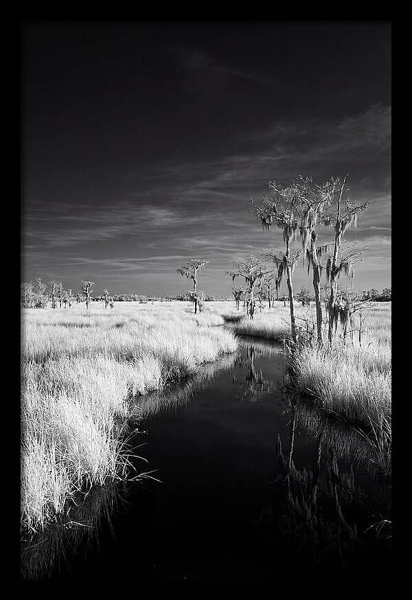 Everglades Dawn Tranquility