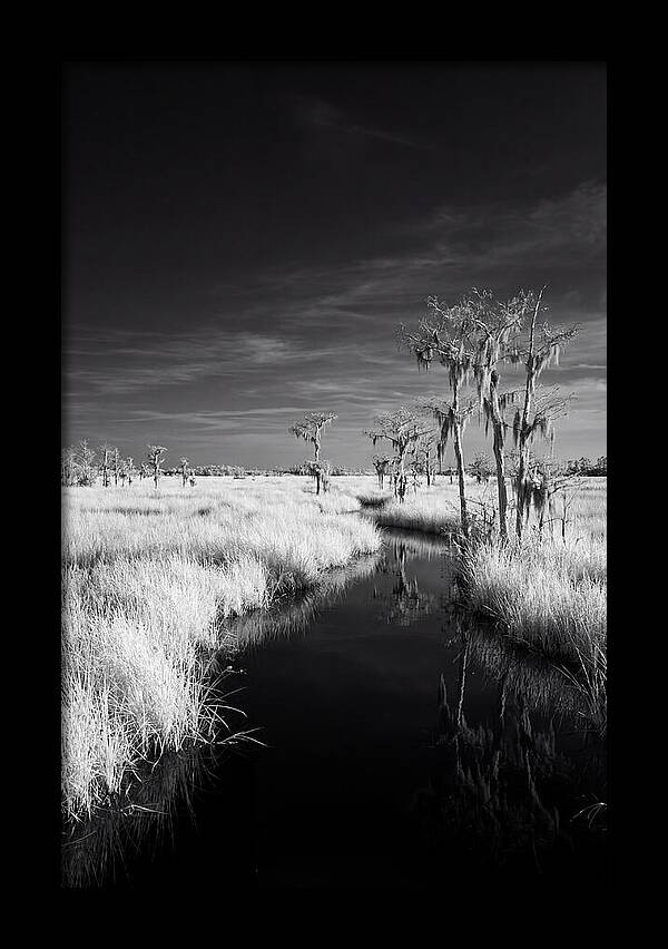 Everglades Dawn Tranquility