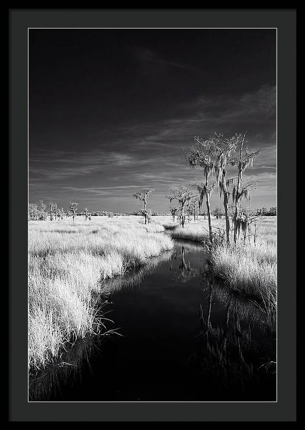 Everglades Dawn Tranquility