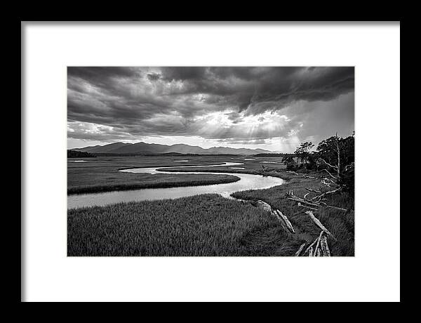 Everglades Marsh Vista