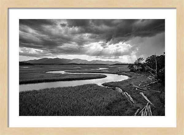 Everglades Marsh Vista