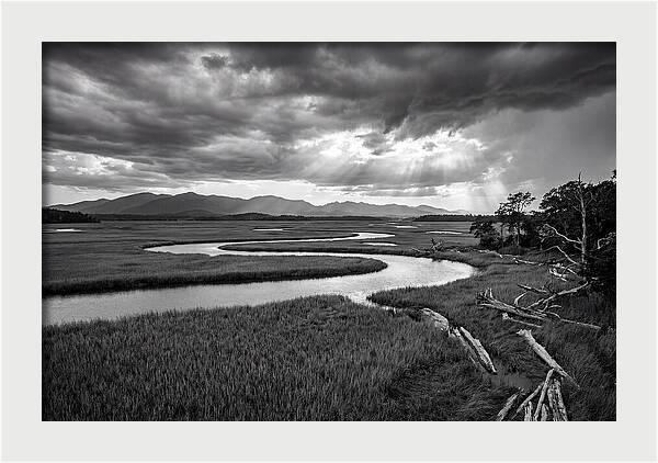 Everglades Marsh Vista