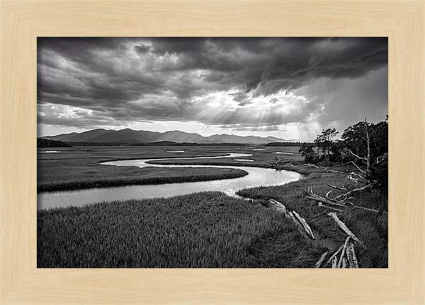 Everglades Marsh Vista
