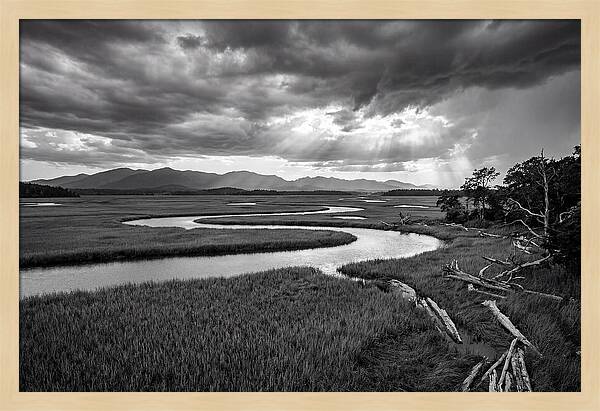Everglades Marsh Vista