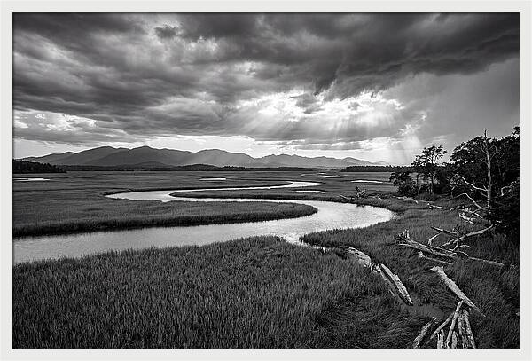 Everglades Marsh Vista
