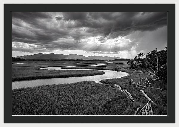 Everglades Marsh Vista