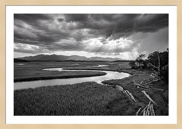 Everglades Marsh Vista