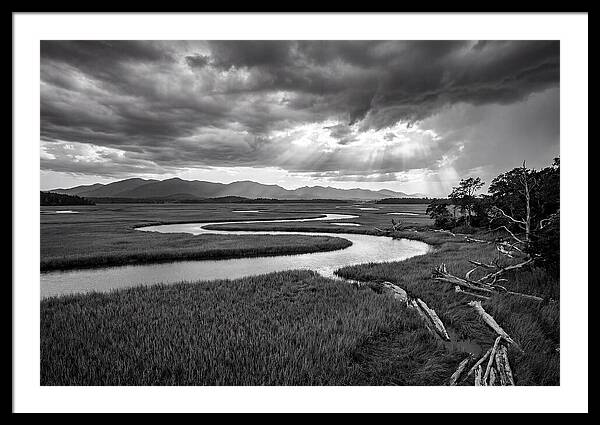 Everglades Marsh Vista