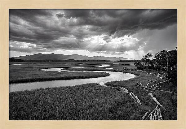 Everglades Marsh Vista