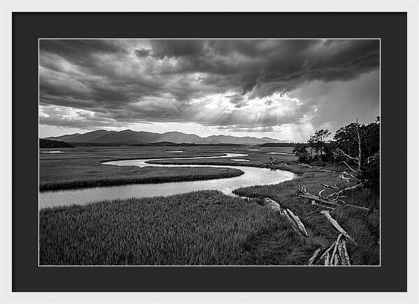Everglades Marsh Vista