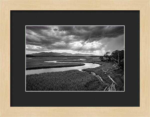 Everglades Marsh Vista