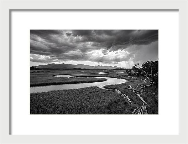 Everglades Marsh Vista