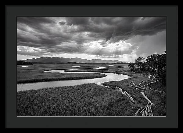 Everglades Marsh Vista
