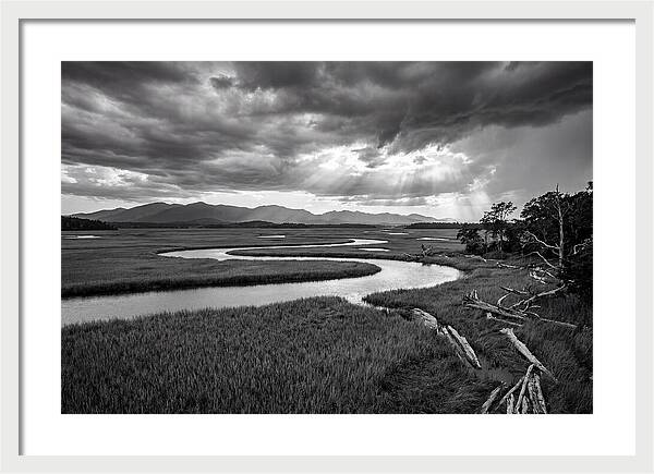 Everglades Marsh Vista