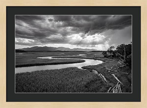 Everglades Marsh Vista