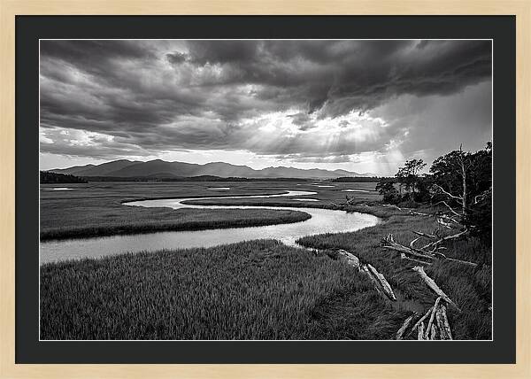 Everglades Marsh Vista