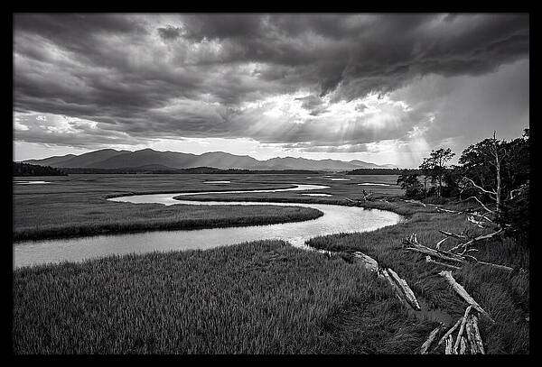 Everglades Marsh Vista