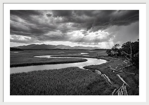 Everglades Marsh Vista