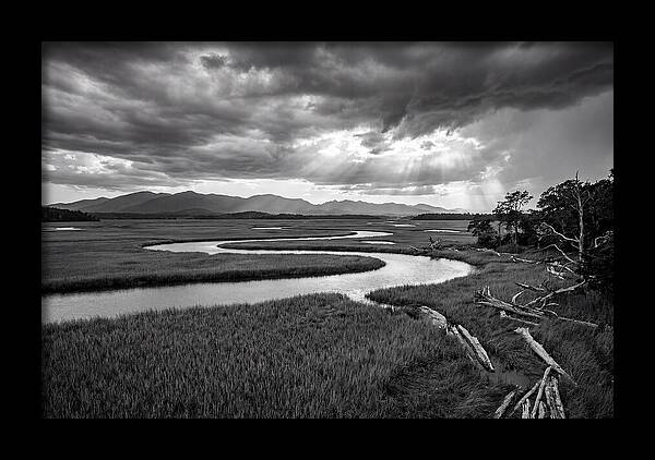 Everglades Marsh Vista
