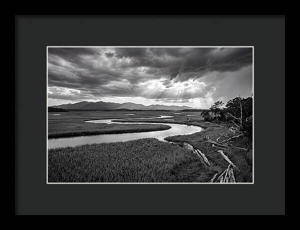 Everglades Marsh Vista