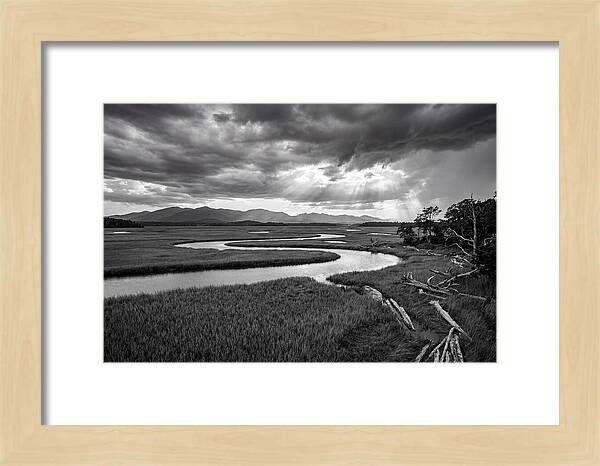 Everglades Marsh Vista