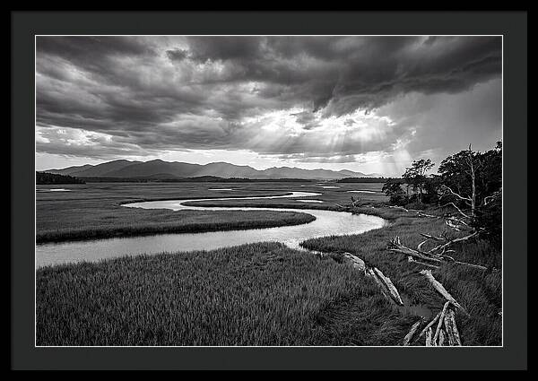 Everglades Marsh Vista