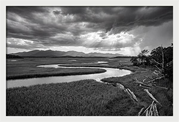 Everglades Marsh Vista