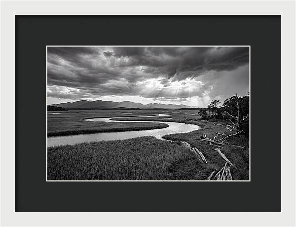 Everglades Marsh Vista