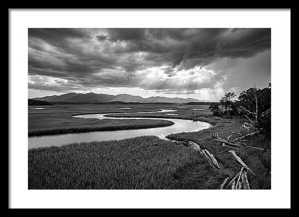Everglades Marsh Vista
