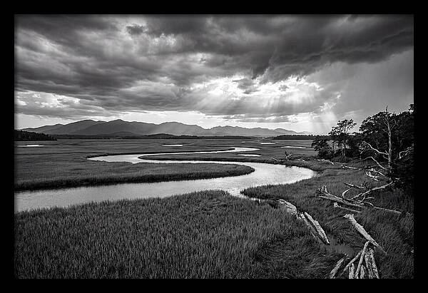 Everglades Marsh Vista