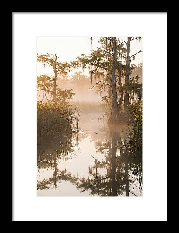 Everglades Morning Serenity