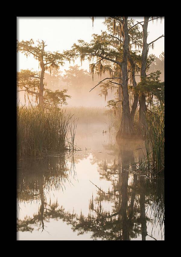 Everglades Morning Serenity