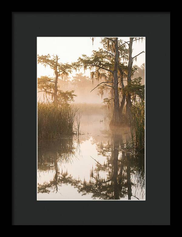 Everglades Morning Serenity