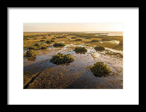 Everglades Serenity At Dusk