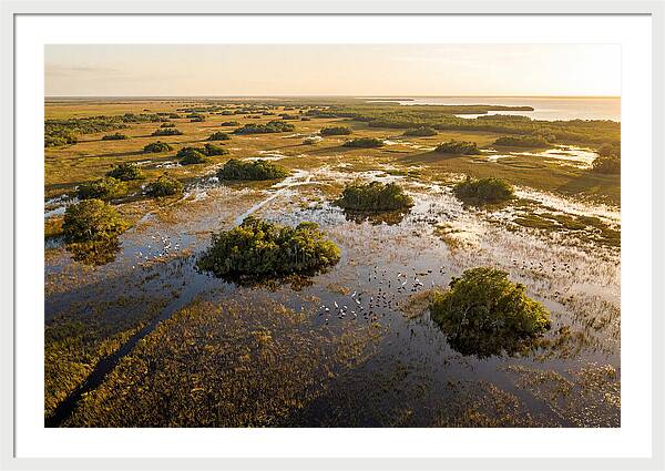 Everglades Serenity At Dusk