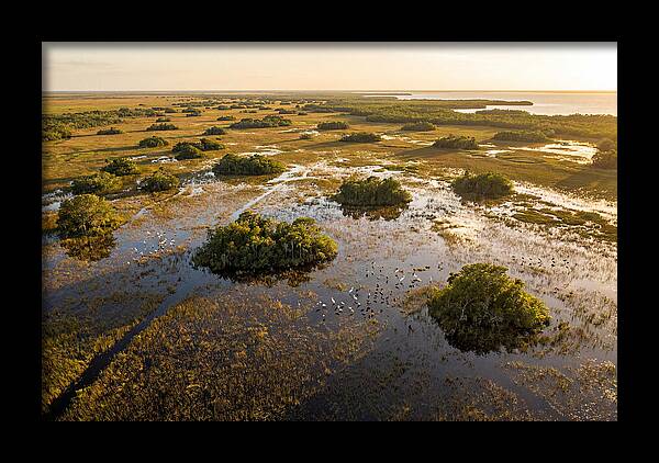 Everglades Serenity At Dusk