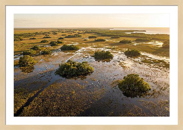 Everglades Serenity At Dusk