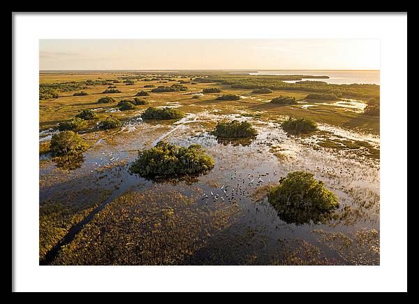 Everglades Serenity At Dusk