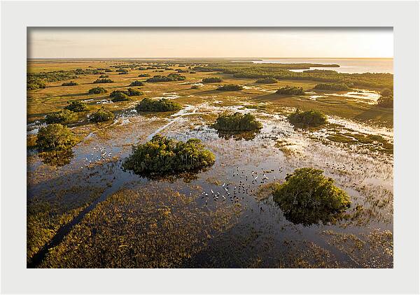 Everglades Serenity At Dusk