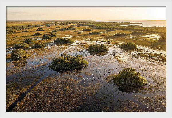 Everglades Serenity At Dusk