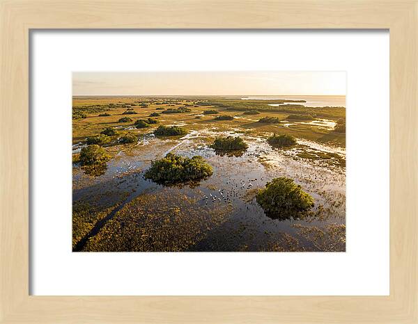 Everglades Serenity At Dusk