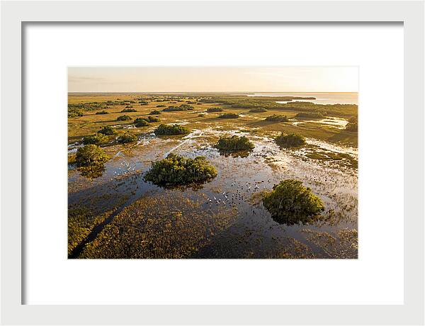 Everglades Serenity At Dusk