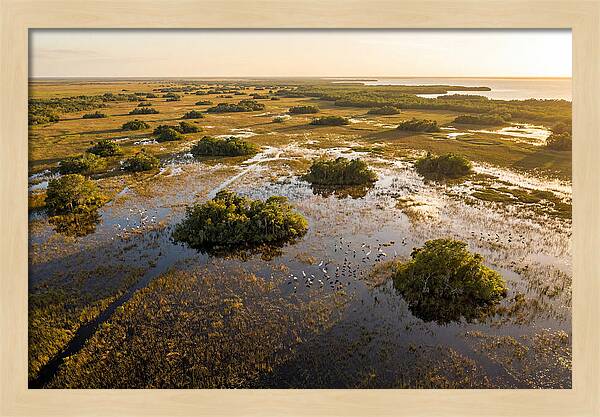 Everglades Serenity At Dusk