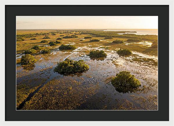 Everglades Serenity At Dusk