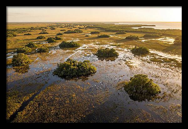 Everglades Serenity At Dusk