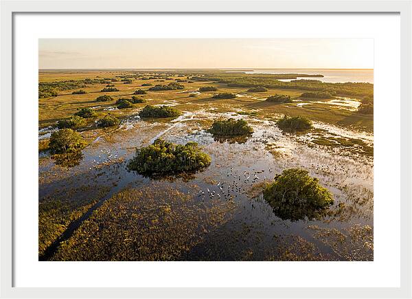 Everglades Serenity At Dusk