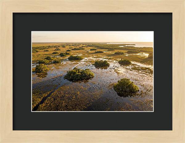 Everglades Serenity At Dusk